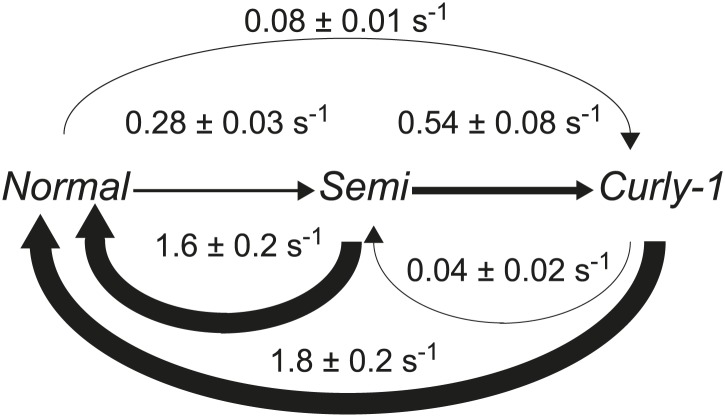 Figure 4—figure supplement 1.