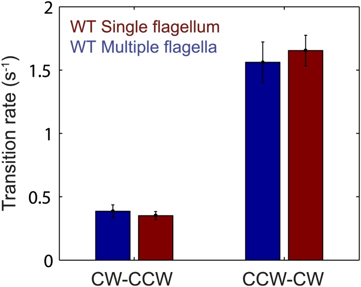 Figure 2—figure supplement 1.