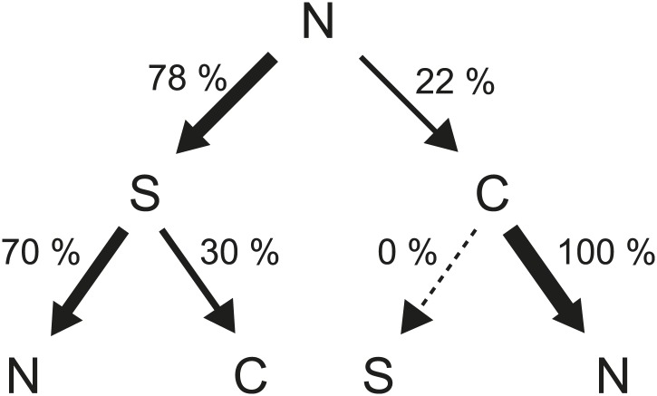 Figure 4—figure supplement 3.