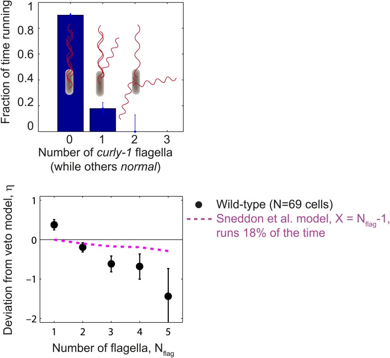 Figure 1—figure supplement 5.