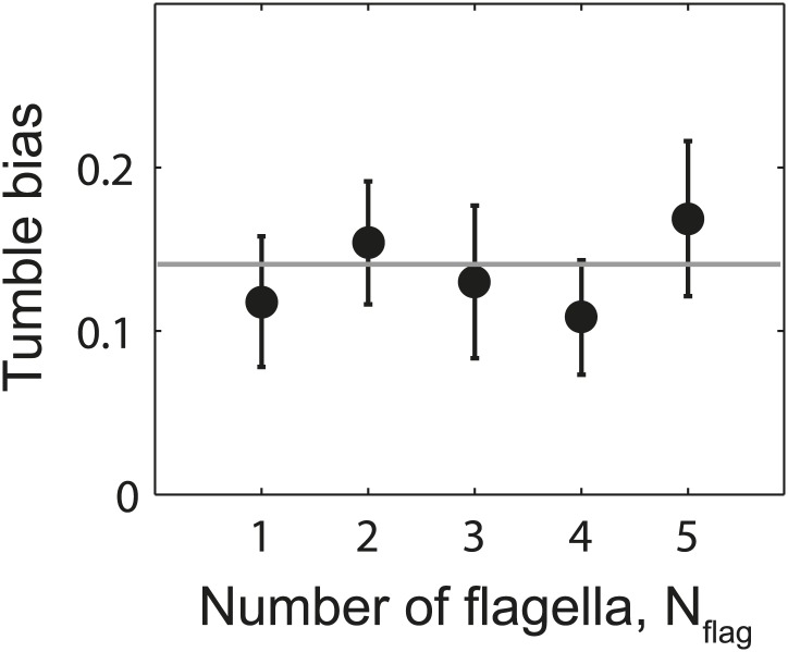 Figure 4—figure supplement 4.