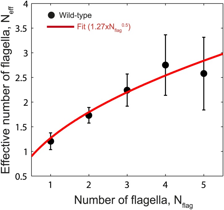 Figure 3—figure supplement 1.