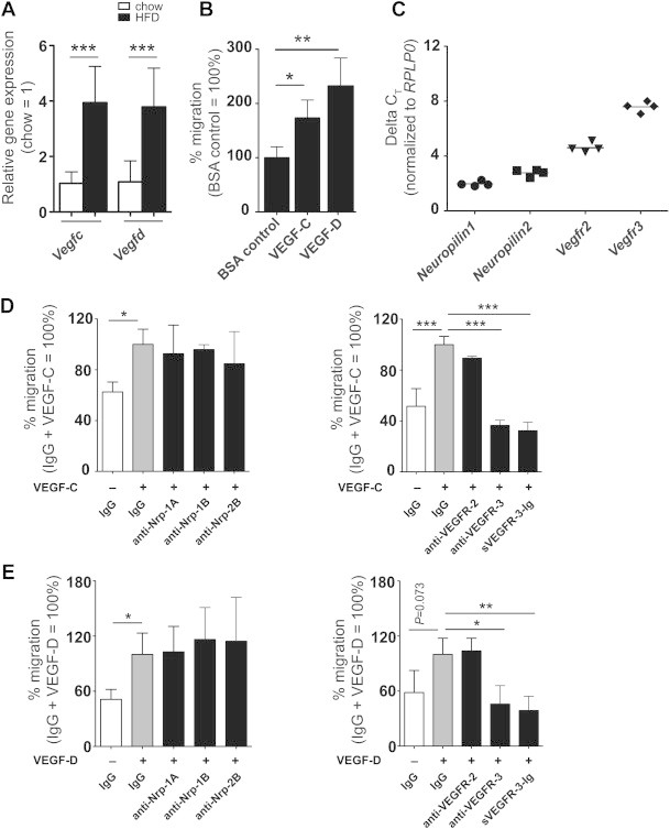 Figure 6