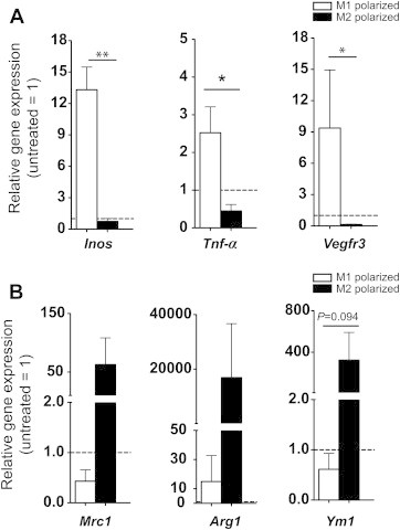 Figure 7