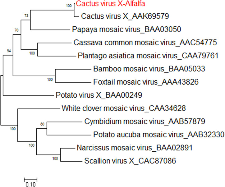 FIGURE 11