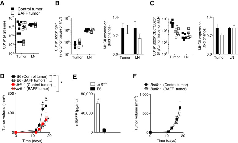 Figure 2. Difference in tumor growth between BAFF and control tumors is abrogated in JHt−/− and Baffr−/− mice. C57BL/6 (B6), JHt−/− or Baffr−/− mice were inoculated subcutaneously with 5 × 105 of BAFF-expressing or control cells and tumors were analyzed as indicated on day 13 after tumor inoculation. A, Numbers of CD19+ B cells in the tumor and tumor-draining lymph node (LN) were assessed using FACS in B6 mice (n = 6–10). B and C, Numbers and surface MHCII expression of CD19+B220+IgM+ (B) and CD19+B220+CD5+CD25+ (C) B cells in the tumor and lymph node are shown (n = 6). D and F, Tumor growth was analyzed in JHt−/− or Baffr−/− mice (n = 4–9, pooled from at least two independent in vivo experiments). E, Serum levels of BAFF in naïve B6, or JHt−/− mice were analyzed by ELISA (n = 4–5). Error bars in all experiments indicate SEM. *, P < 0.05 as determined by a Student t test (unpaired, two-tailed) or a two-way ANOVA with a post hoc test.