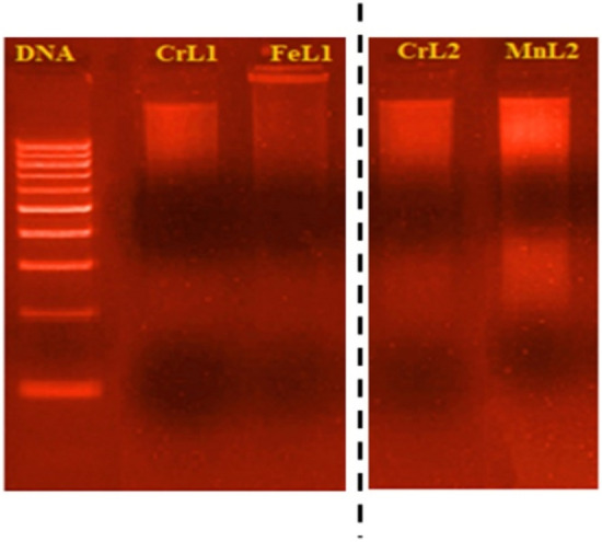 Figure 13