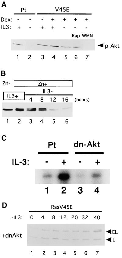 FIG. 6