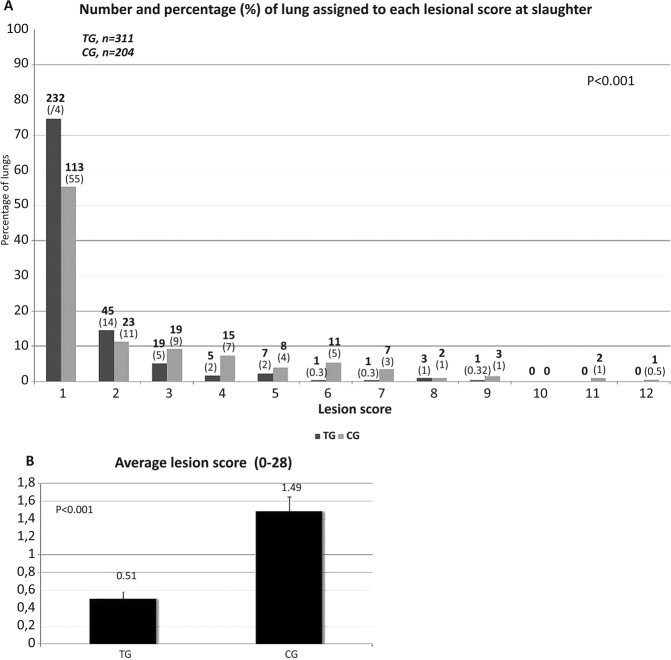 FIG 2: