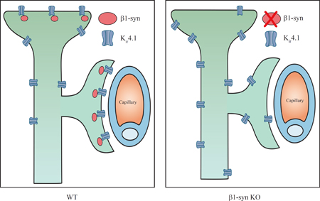 graphic file with name nihms-1017482-f0009.jpg