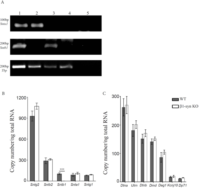 Figure 1: