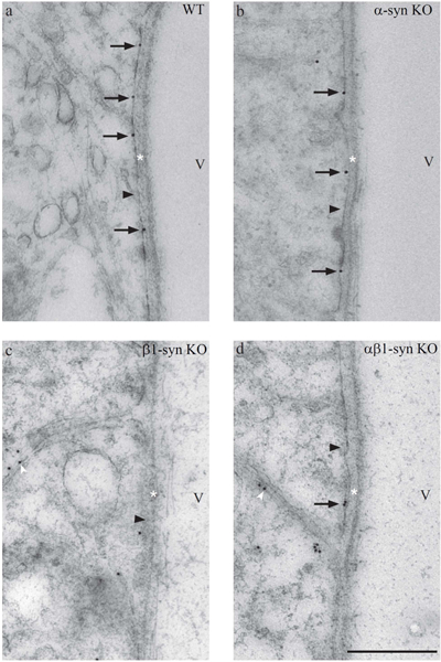 Figure 6: