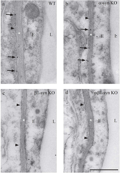 Figure 4: