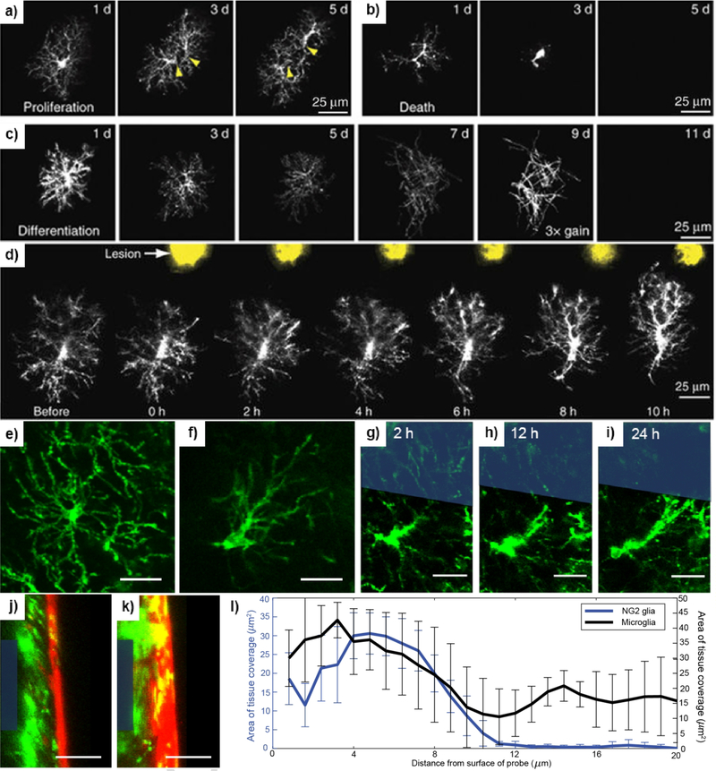 Figure 3: