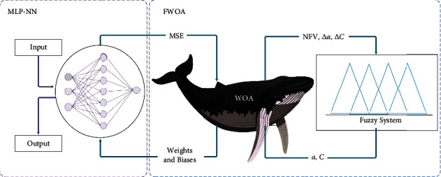 Figure 12