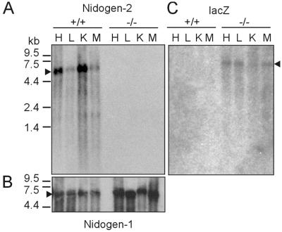 FIG. 3.