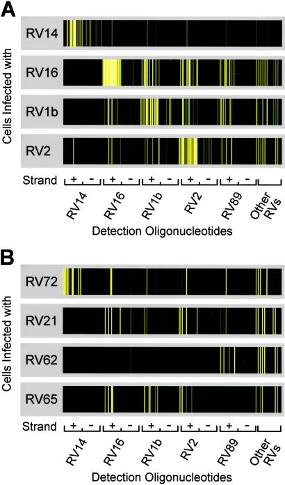 Fig 3.