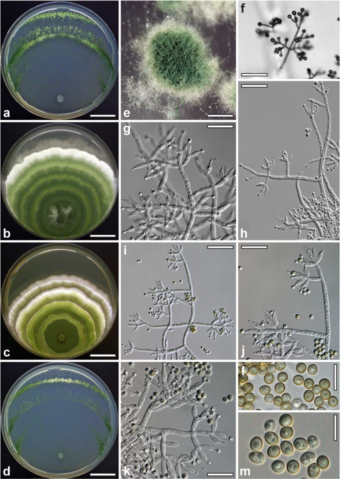 Fig. 15.