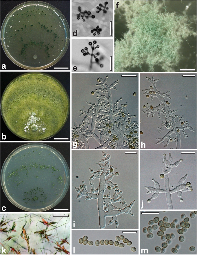 Fig. 23.