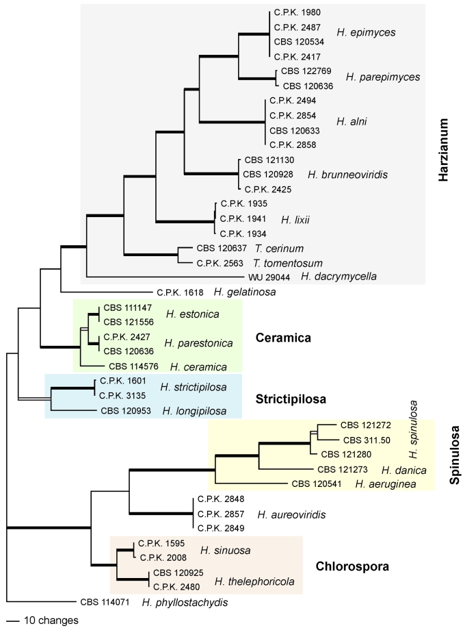 Fig. 2.