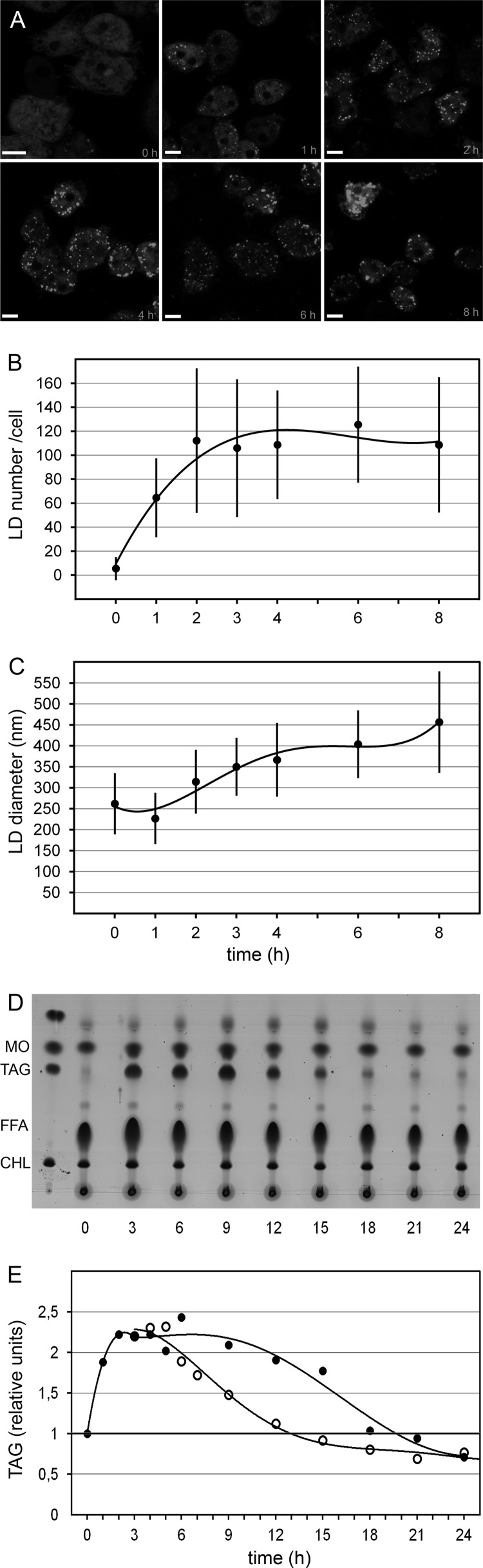 Fig 1