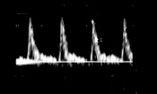 graphic file with name abc-112-06-0809-g21.jpg