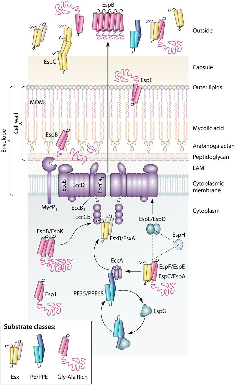 FIG 3