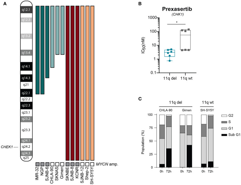 Figure 2