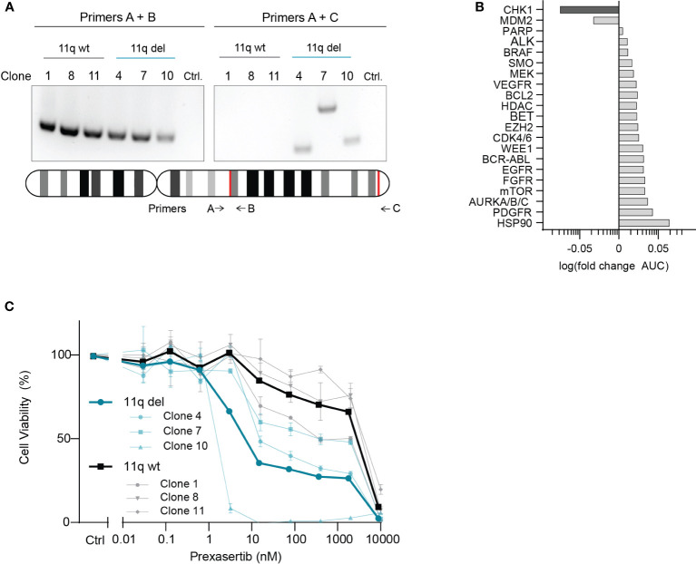 Figure 1