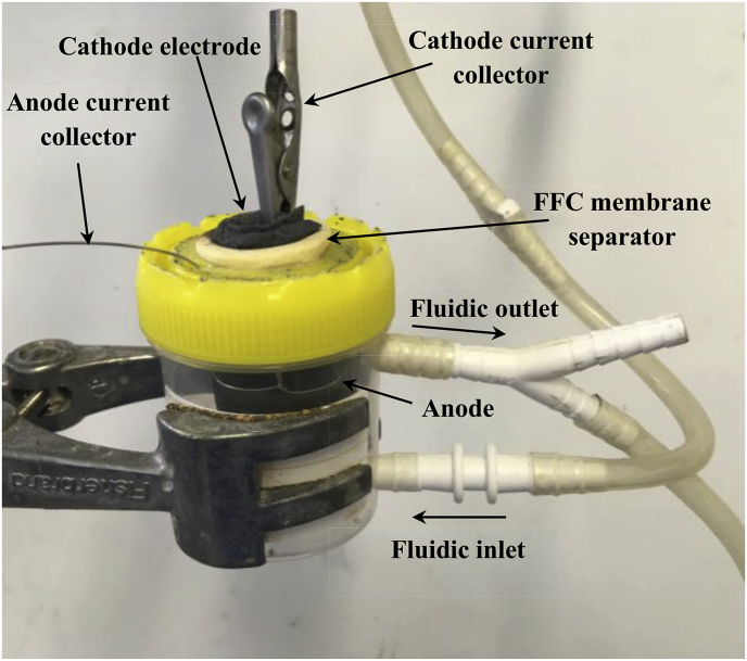 Fig. 1