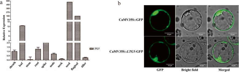 Fig. 10