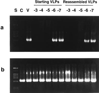 FIG. 7