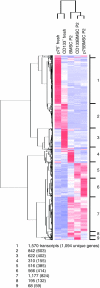 <b>Figure 4</b>
