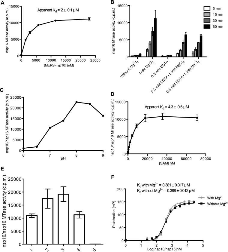 FIG 2