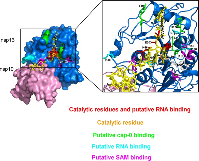 FIG 4