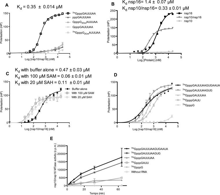 FIG 3