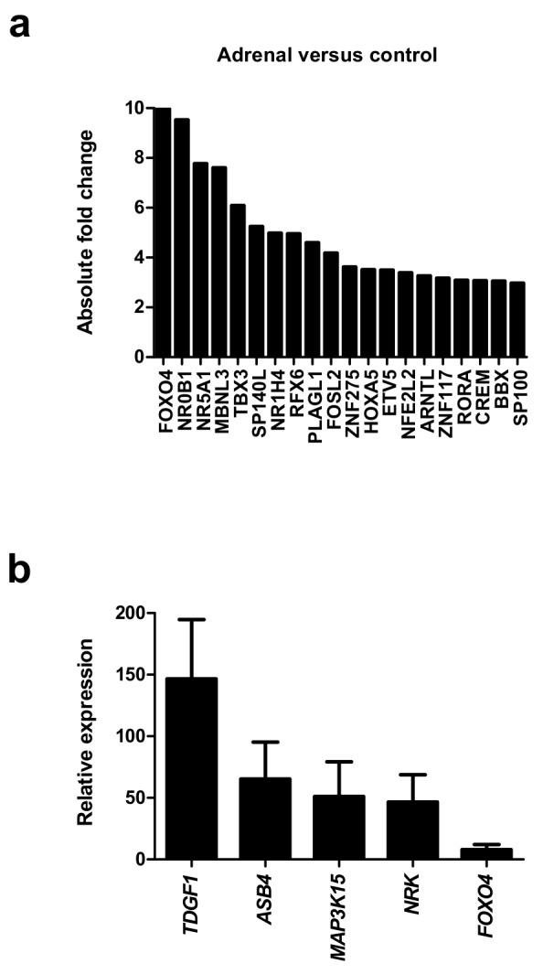 Figure 5. 