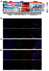 Figure 13.