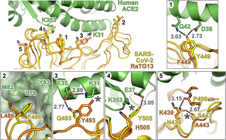 Fig 6