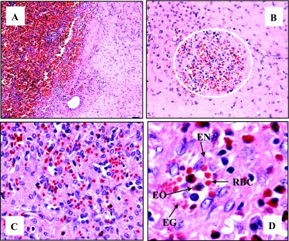 FIG. 6.