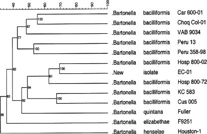 FIG. 5.