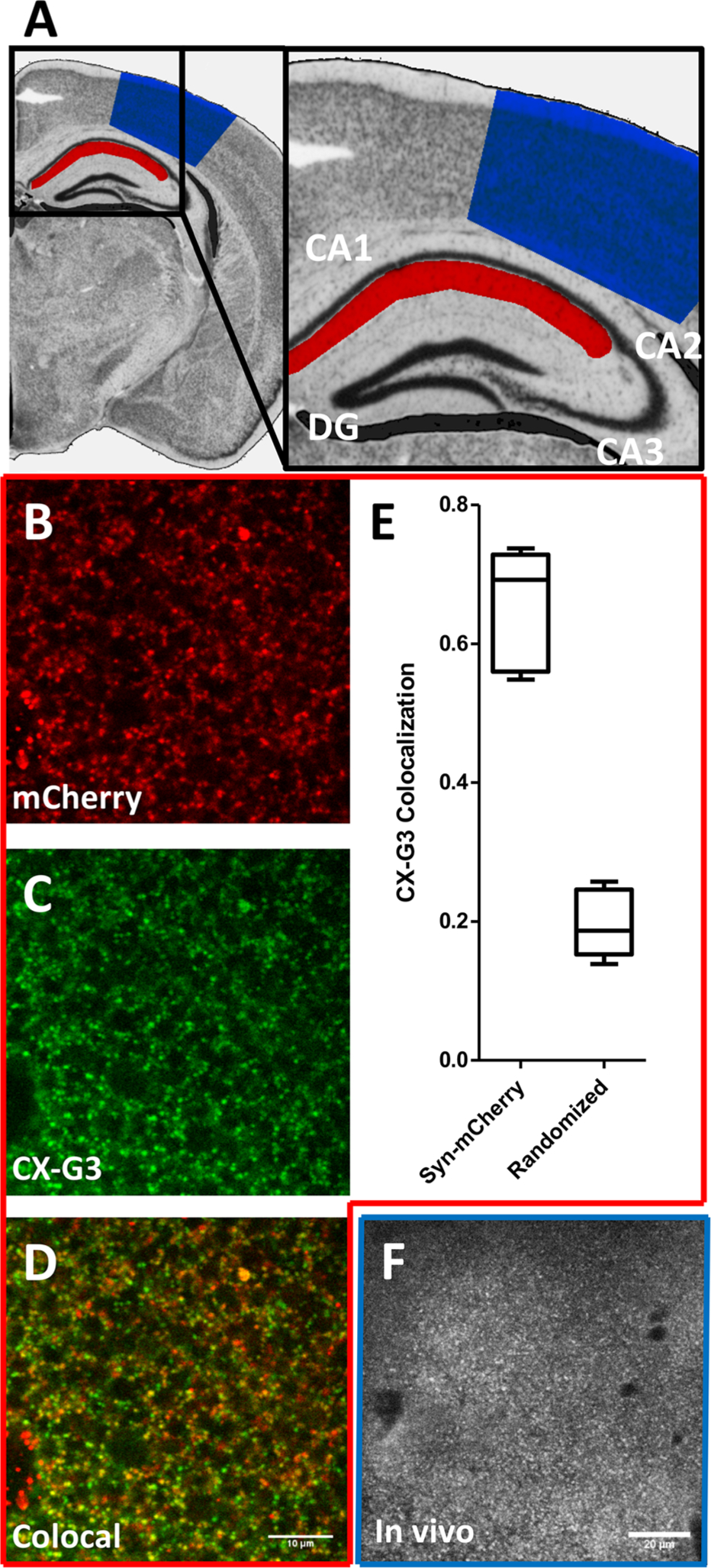 Figure 5.