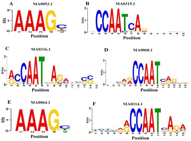 Figure 6