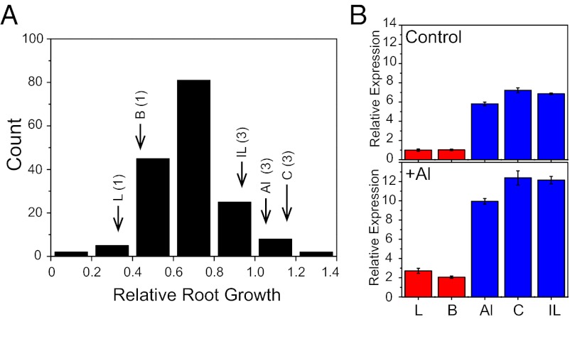 Fig. 6.