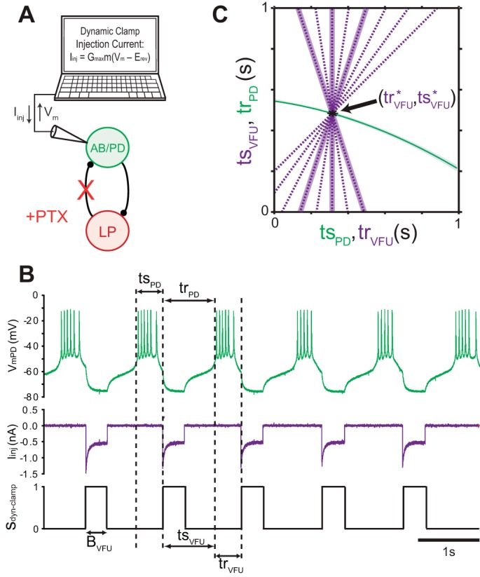 Fig. 2.