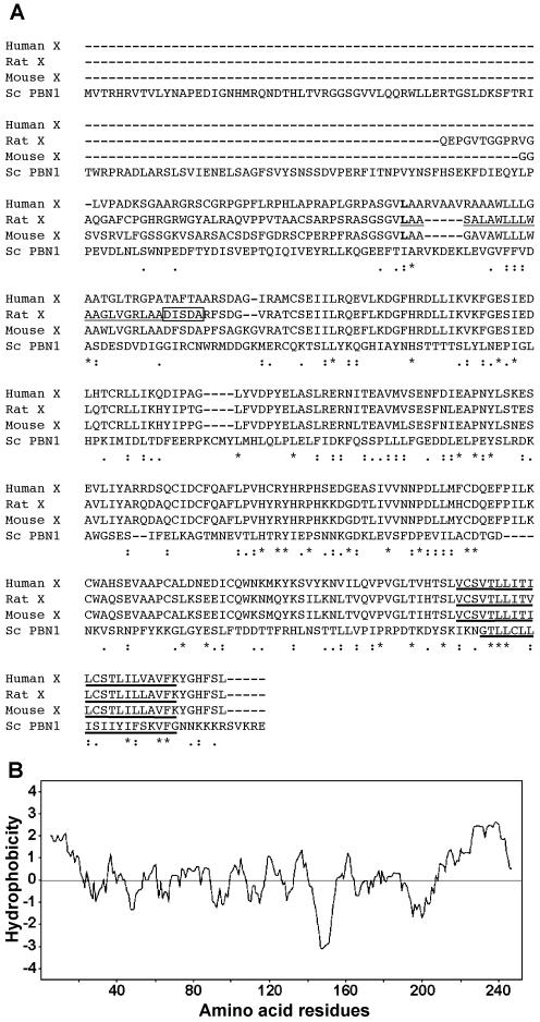 Figure 5.