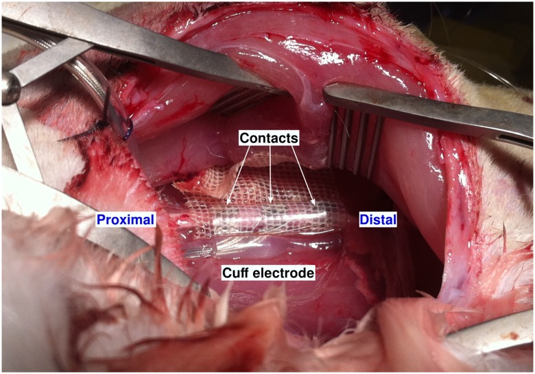 Fig 3