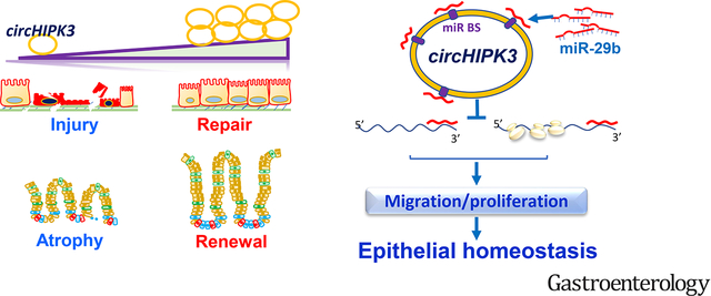 graphic file with name nihms-1713157-f0001.jpg