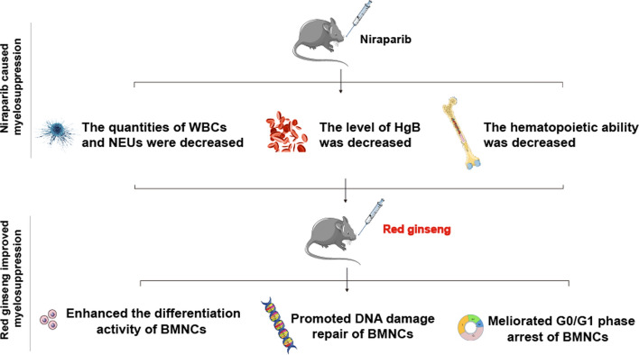 graphic file with name 11418_2024_1866_Figa_HTML.jpg