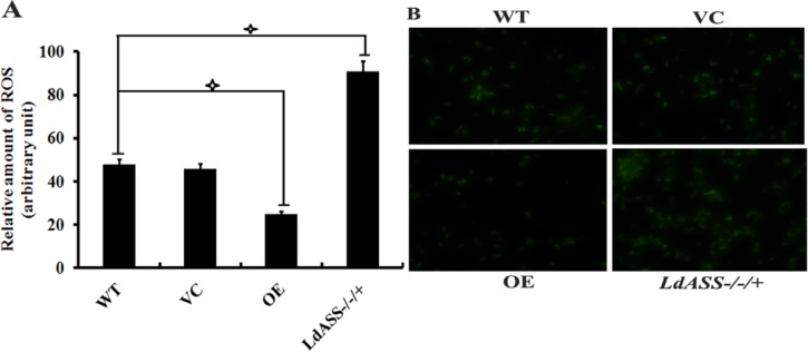 Fig 5